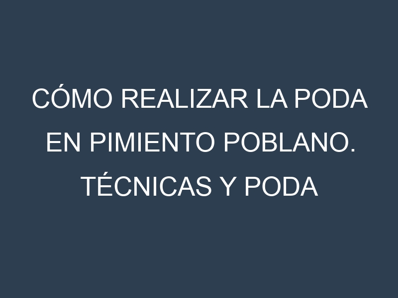 Cómo Realizar la Poda en Pimiento poblano. Técnicas y Poda de formación.