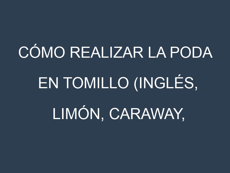 Cómo Realizar la Poda en Tomillo (Inglés, Limón, Caraway, Woolly, Silver Queen). Técnicas y Poda de formación.