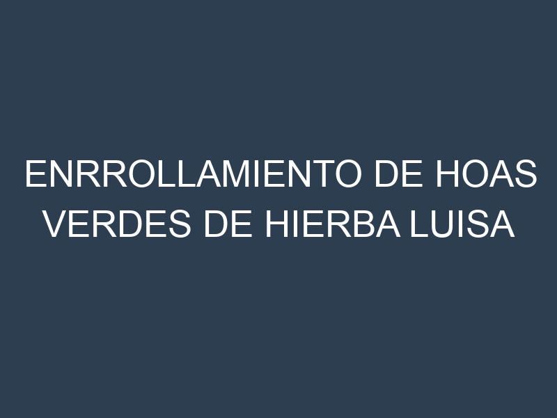 Enrrollamiento de hoas verdes de hierba luisa