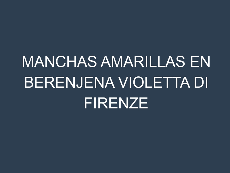 Manchas Amarillas en Berenjena Violetta Di Firenze