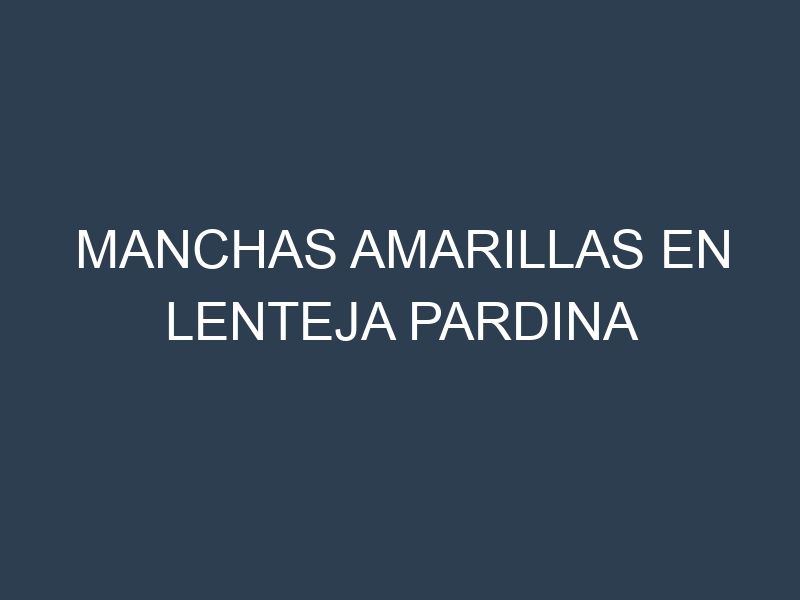 Manchas Amarillas en Lenteja Pardina
