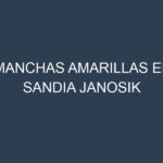Manchas Amarillas en Sandia Janosik