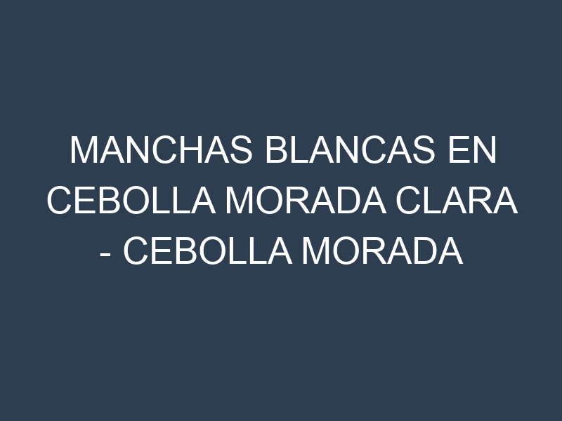 Manchas blancas en Cebolla morada clara – Cebolla morada clara común. Manchas hojas blancas en Cebolla morada clara – Cebolla morada clara común.