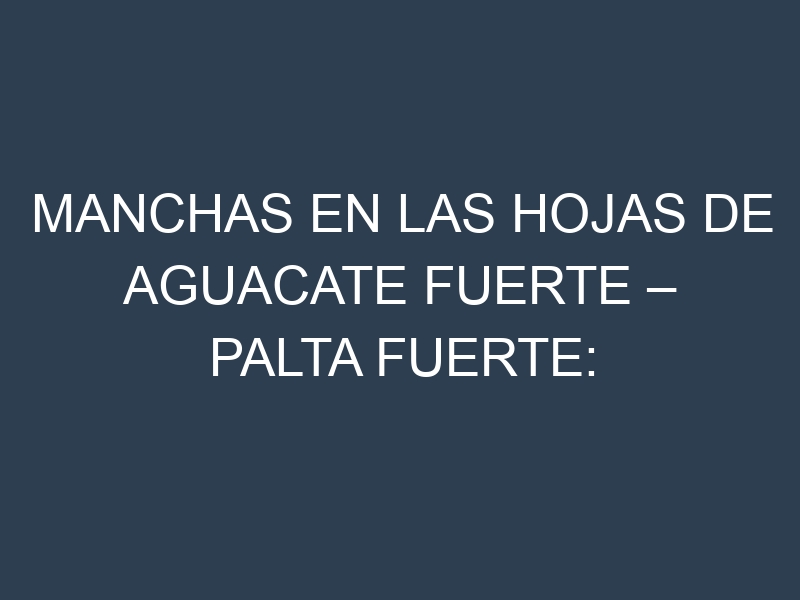 Manchas en las hojas de Aguacate fuerte – Palta fuerte: Identificación, Causas y Estrategias de Control Efectivo