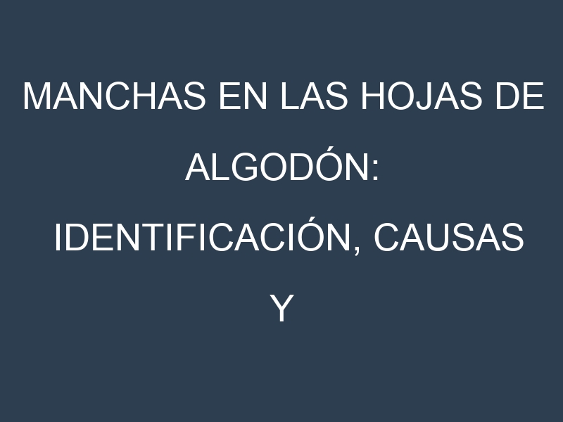 Manchas en las hojas de Algodón: Identificación, Causas y Estrategias de Control Efectivo