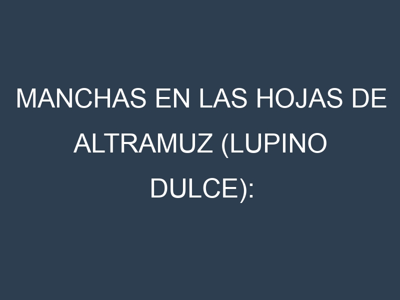 Manchas en las hojas de Altramuz (lupino dulce): Identificación, Causas y Estrategias de Control Efectivo