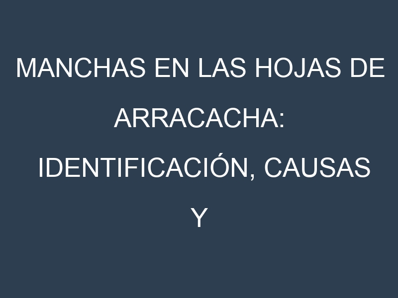 Manchas en las hojas de Arracacha: Identificación, Causas y Estrategias de Control Efectivo