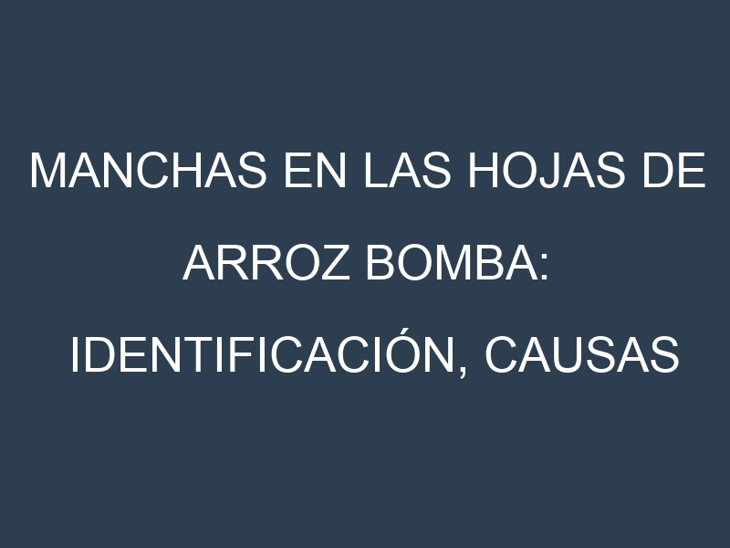 Manchas en las hojas de Arroz bomba: Identificación, Causas y Estrategias de Control Efectivo