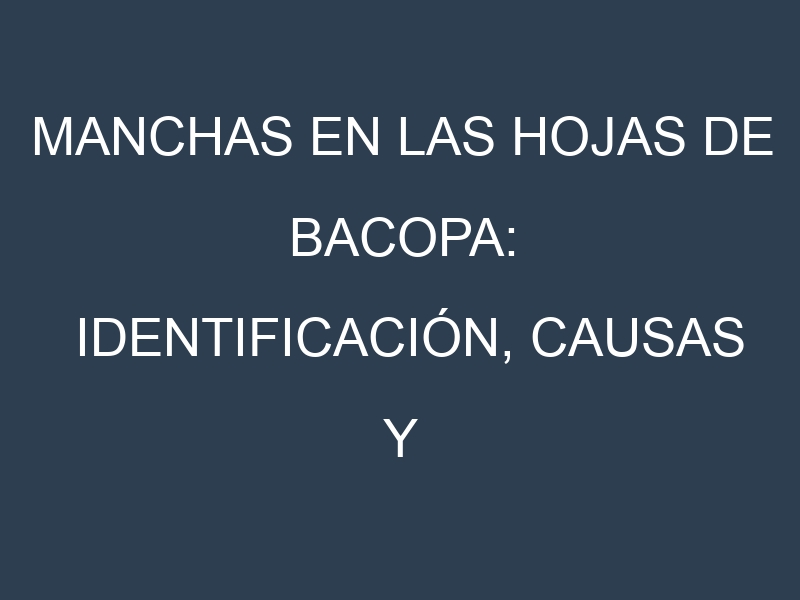 Manchas en las hojas de Bacopa: Identificación, Causas y Estrategias de Control Efectivo