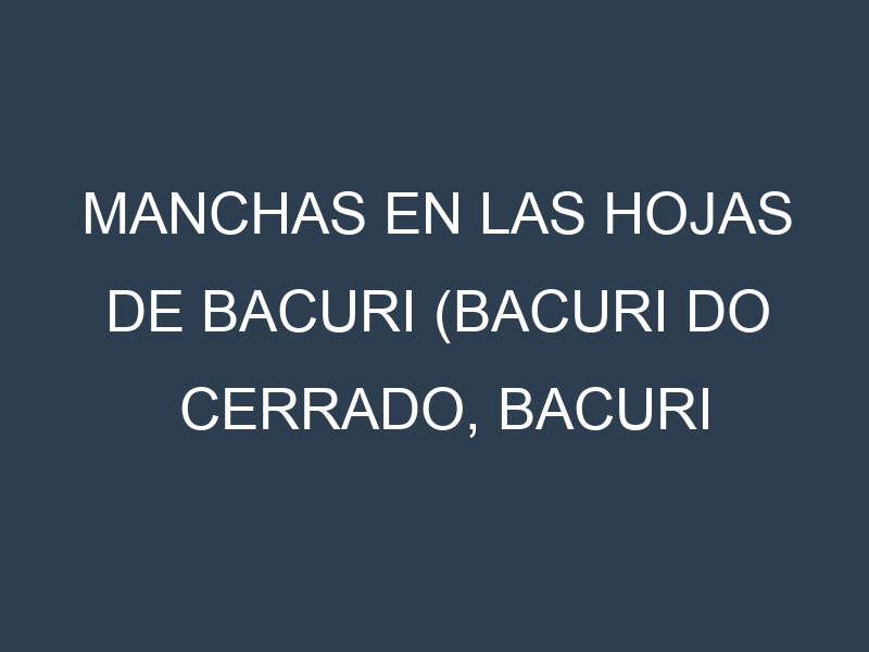 Manchas en las hojas de Bacuri (Bacuri do cerrado, Bacuri Graúdo, Bacuri de Gado, Bacuri Vermelho, Bacurizeiro): Identificación, Causas y Estrategias de Control Efectivo
