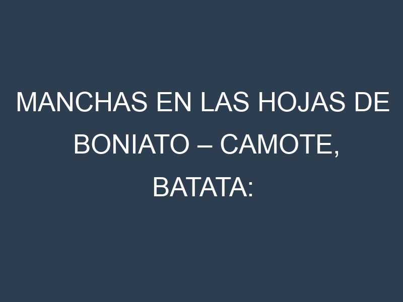 Manchas en las hojas de Boniato – Camote, Batata: Identificación, Causas y Estrategias de Control Efectivo