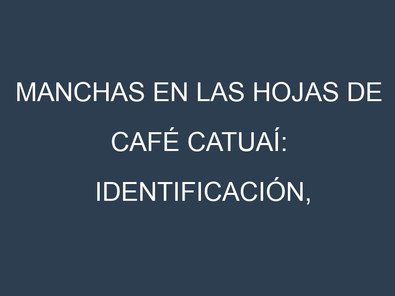 Manchas en las hojas de Café catuaí: Identificación, Causas y Estrategias de Control Efectivo