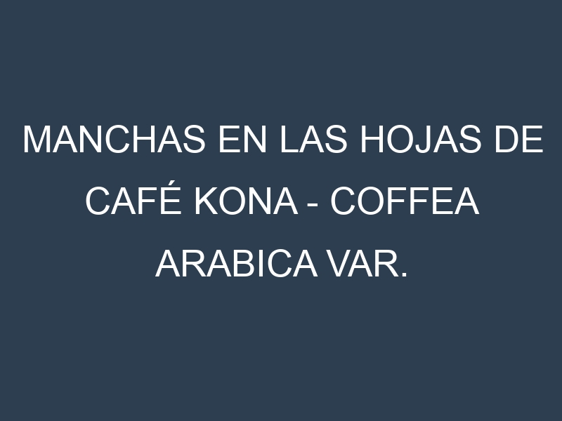 Manchas en las hojas de Café Kona – Coffea arabica var. kona: Identificación, Causas y Estrategias de Control Efectivo