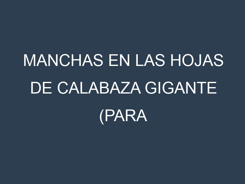 Manchas en las hojas de Calabaza gigante (para competiciones): Identificación, Causas y Estrategias de Control Efectivo