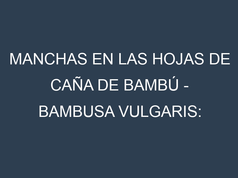 Manchas en las hojas de Caña de bambú – Bambusa vulgaris: Identificación, Causas y Estrategias de Control Efectivo
