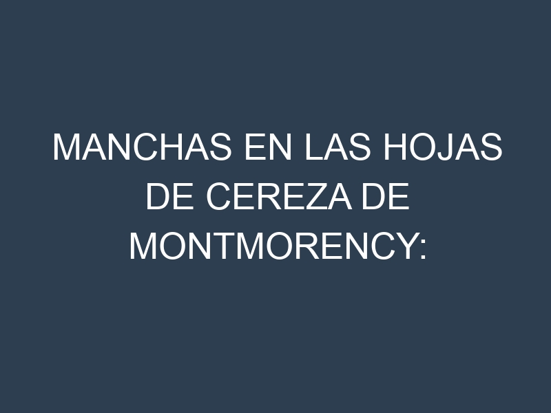 Manchas en las hojas de Cereza de Montmorency: Identificación, Causas y Estrategias de Control Efectivo