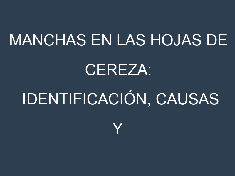 Manchas en las hojas de Cereza: Identificación, Causas y Estrategias de Control Efectivo