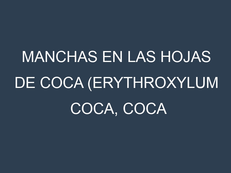 Manchas en las hojas de Coca (Erythroxylum coca, coca plant): Identificación, Causas y Estrategias de Control Efectivo