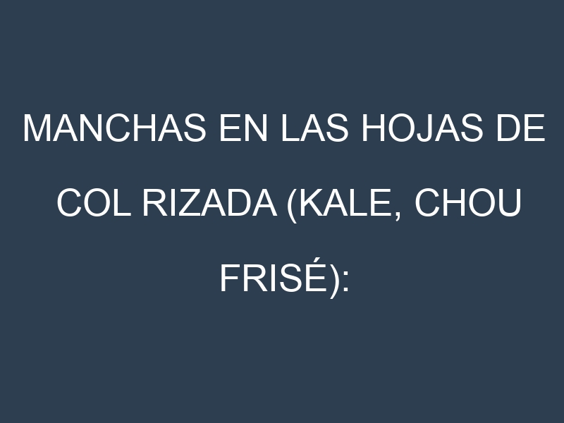 Manchas en las hojas de Col rizada (Kale, chou frisé): Identificación, Causas y Estrategias de Control Efectivo