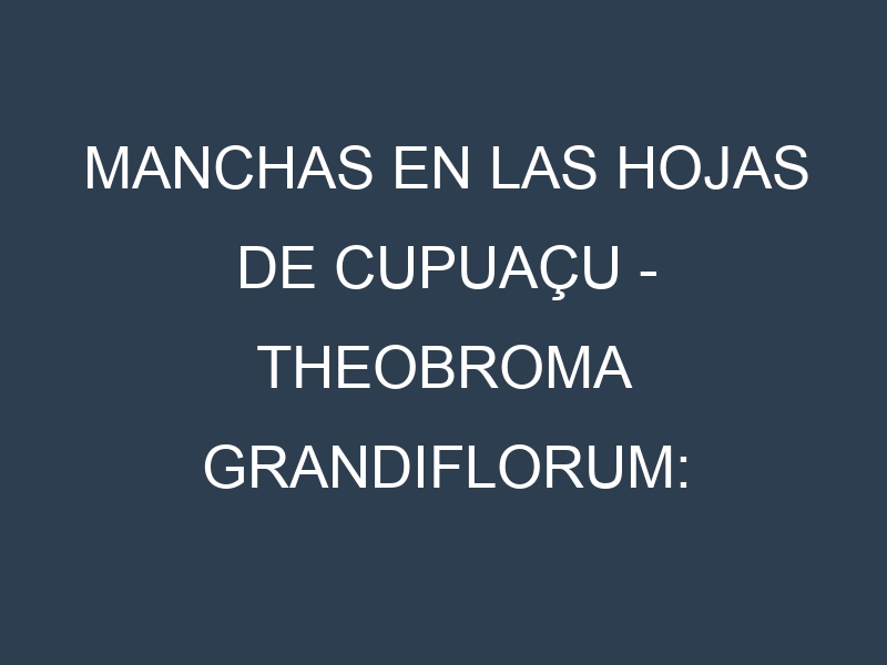 Manchas en las hojas de Cupuaçu – Theobroma grandiflorum: Identificación, Causas y Estrategias de Control Efectivo