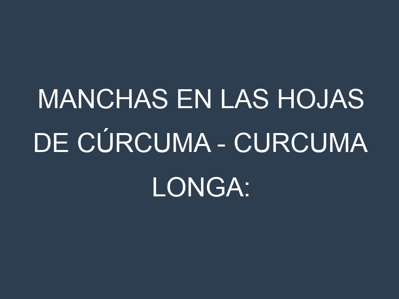 Manchas en las hojas de Cúrcuma – Curcuma longa: Identificación, Causas y Estrategias de Control Efectivo