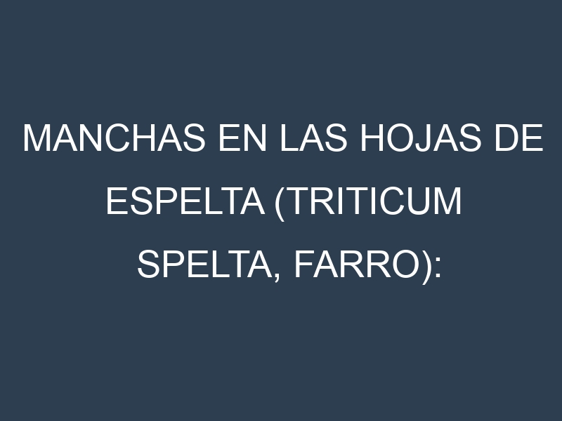 Manchas en las hojas de Espelta (Triticum spelta, farro): Identificación, Causas y Estrategias de Control Efectivo
