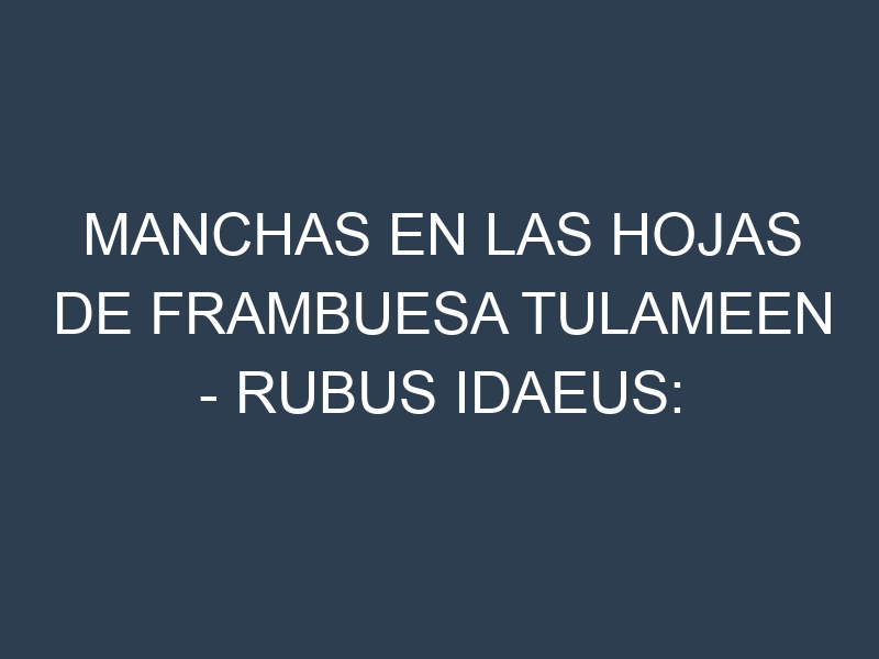 Manchas en las hojas de Frambuesa Tulameen – Rubus idaeus: Identificación, Causas y Estrategias de Control Efectivo
