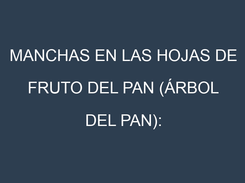 Manchas en las hojas de Fruto del pan (árbol del pan): Identificación, Causas y Estrategias de Control Efectivo