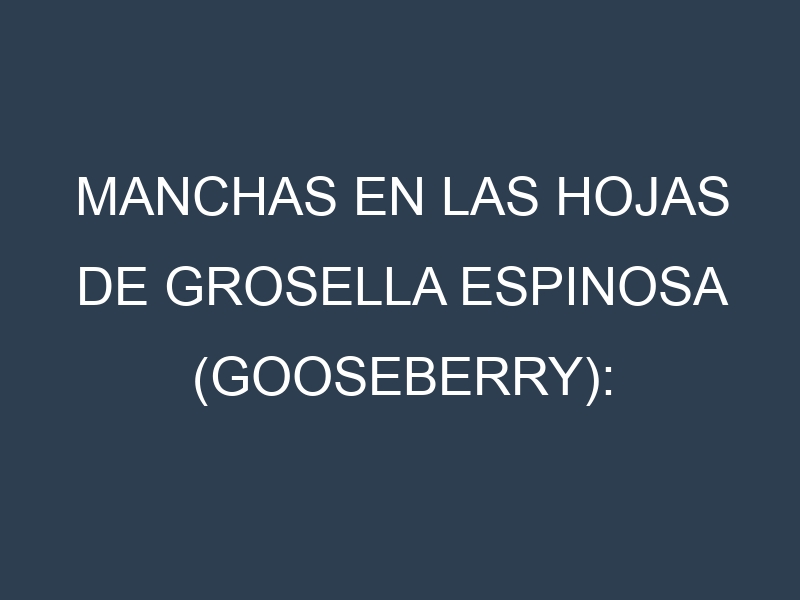 Manchas en las hojas de Grosella espinosa (gooseberry): Identificación, Causas y Estrategias de Control Efectivo