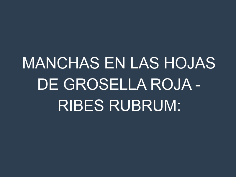Manchas en las hojas de Grosella roja – Ribes rubrum: Identificación, Causas y Estrategias de Control Efectivo