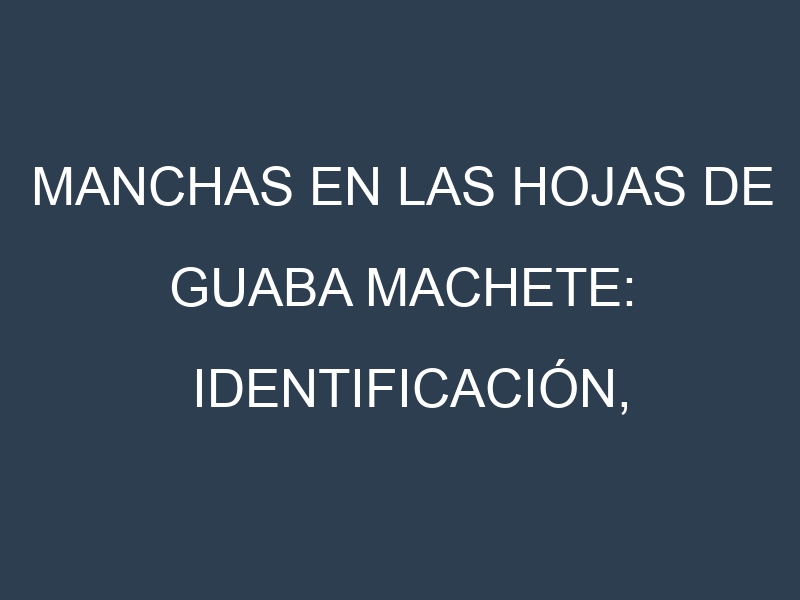 Manchas en las hojas de Guaba machete: Identificación, Causas y Estrategias de Control Efectivo