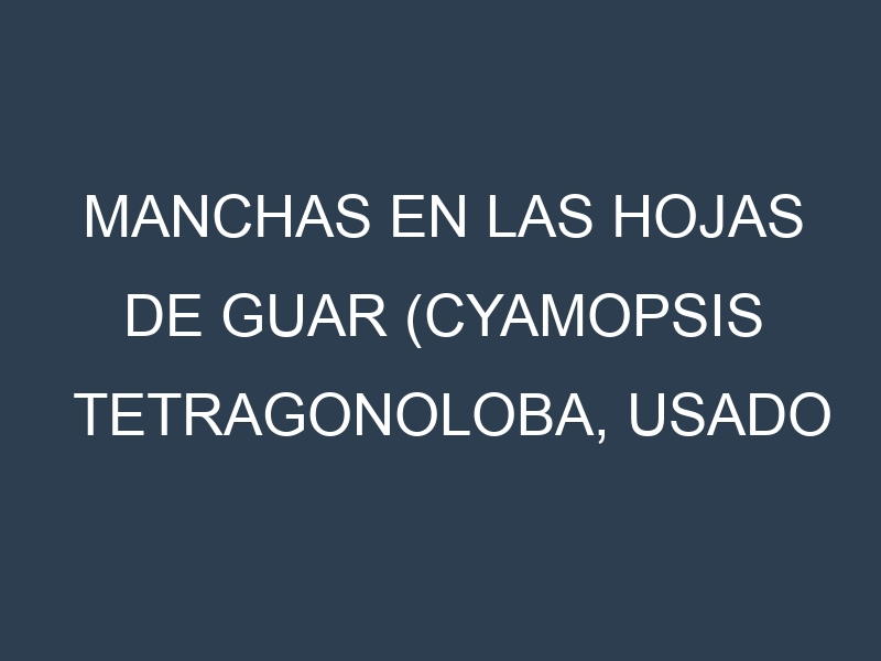 Manchas en las hojas de Guar (Cyamopsis tetragonoloba, usado para gomas y alimentos): Identificación, Causas y Estrategias de Control Efectivo