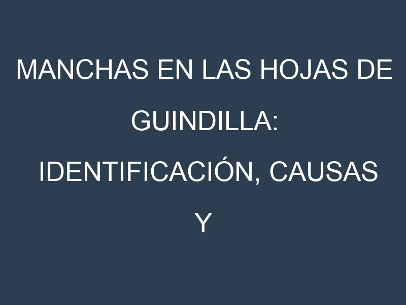 Manchas en las hojas de Guindilla: Identificación, Causas y Estrategias de Control Efectivo
