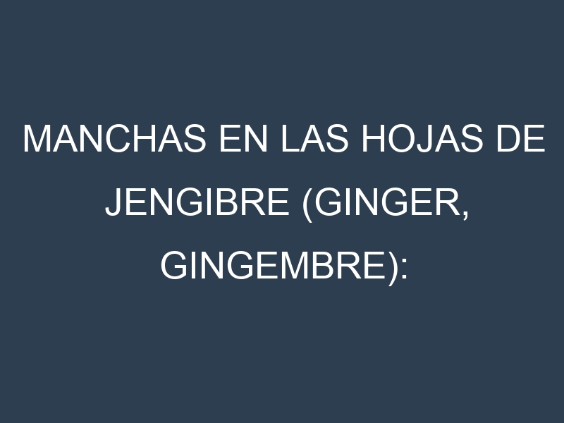Manchas en las hojas de Jengibre (Ginger, gingembre): Identificación, Causas y Estrategias de Control Efectivo