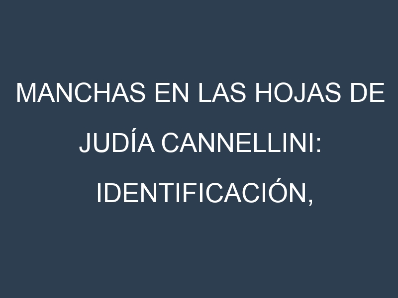 Manchas en las hojas de Judía cannellini: Identificación, Causas y Estrategias de Control Efectivo