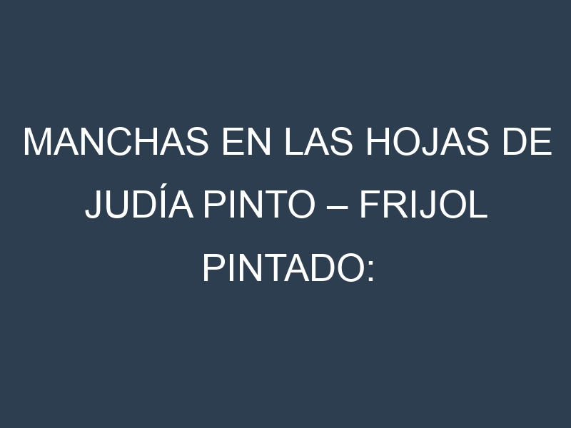 Manchas en las hojas de Judía pinto – Frijol pintado: Identificación, Causas y Estrategias de Control Efectivo