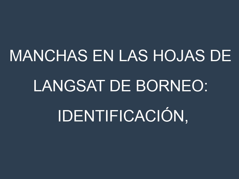 Manchas en las hojas de Langsat de Borneo: Identificación, Causas y Estrategias de Control Efectivo