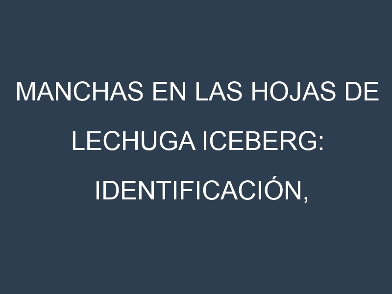 Manchas en las hojas de Lechuga iceberg: Identificación, Causas y Estrategias de Control Efectivo