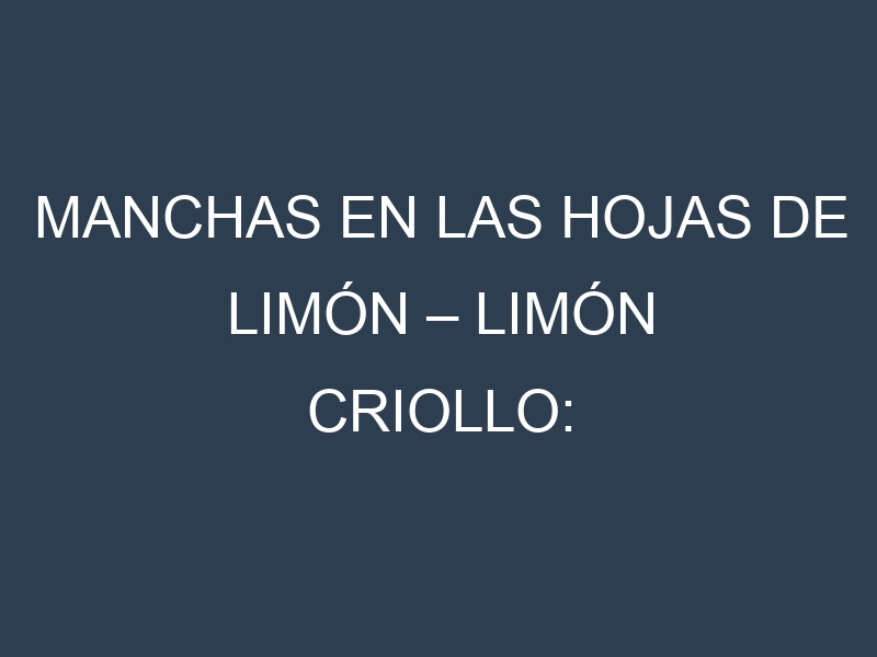 Manchas en las hojas de Limón – Limón criollo: Identificación, Causas y Estrategias de Control Efectivo