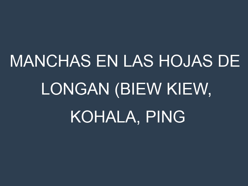 Manchas en las hojas de Longan (Biew Kiew, Kohala, Ping Pong, Diamond River, Sri Chompoo): Identificación, Causas y Estrategias de Control Efectivo
