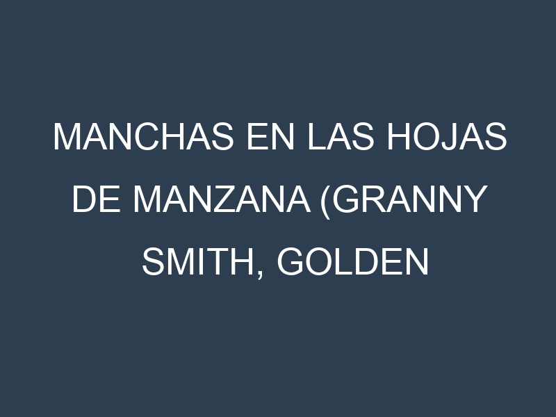 Manchas en las hojas de Manzana (Granny Smith, Golden Delicious, Red Delicious, Fuji, Gala): Identificación, Causas y Estrategias de Control Efectivo