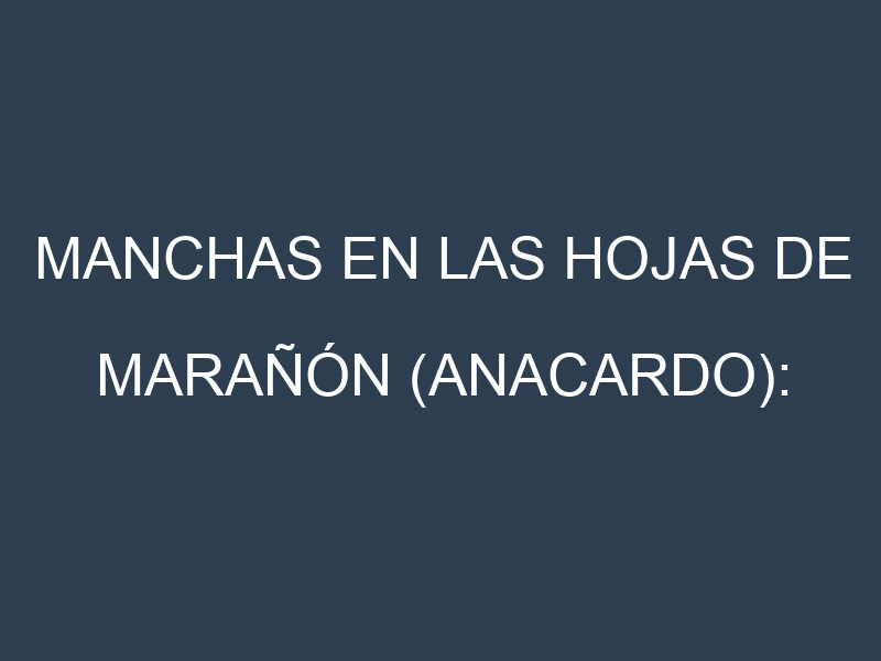 Manchas en las hojas de Marañón (anacardo): Identificación, Causas y Estrategias de Control Efectivo
