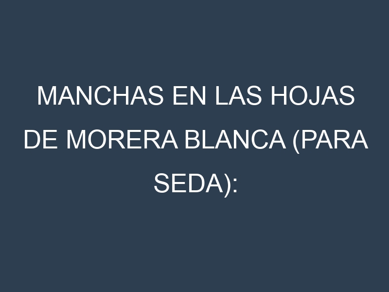 Manchas en las hojas de Morera blanca (para seda): Identificación, Causas y Estrategias de Control Efectivo