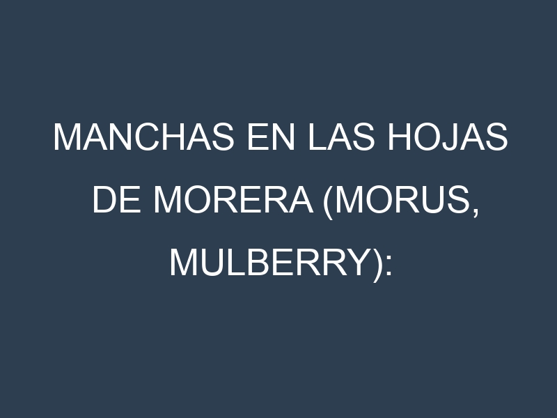Manchas en las hojas de Morera (Morus, mulberry): Identificación, Causas y Estrategias de Control Efectivo