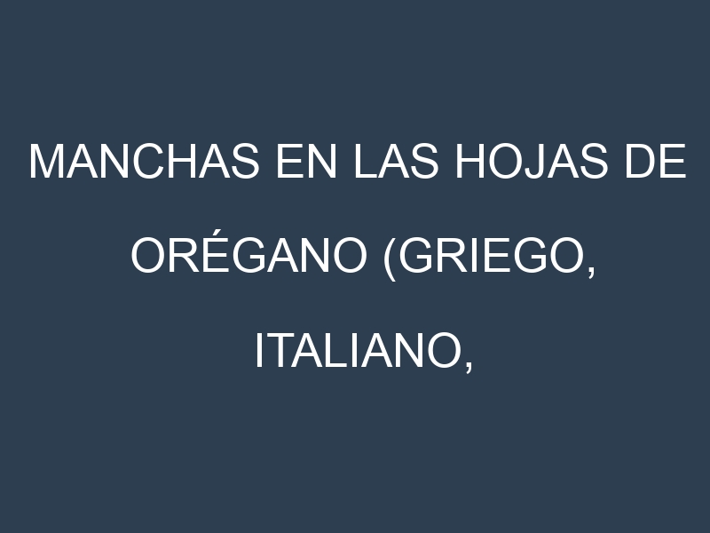 Manchas en las hojas de Orégano (Griego, Italiano, Mexicano, Amarillo, Golden): Identificación, Causas y Estrategias de Control Efectivo