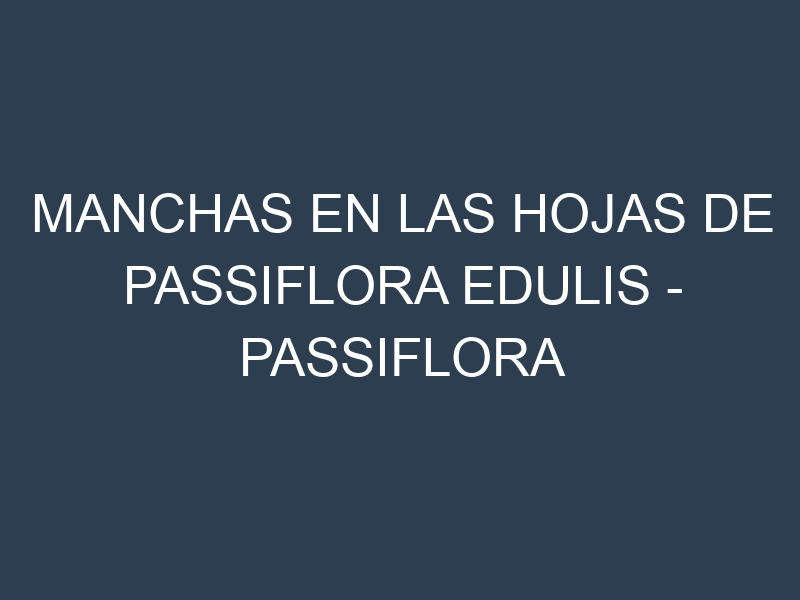 Manchas en las hojas de Passiflora edulis – Passiflora edulis: Identificación, Causas y Estrategias de Control Efectivo