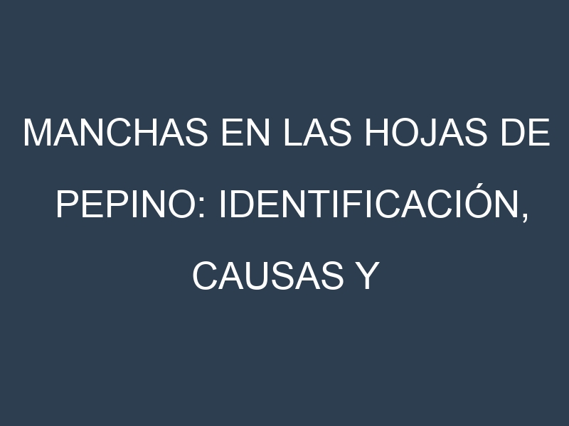 Manchas en las hojas de Pepino: Identificación, Causas y Estrategias de Control Efectivo