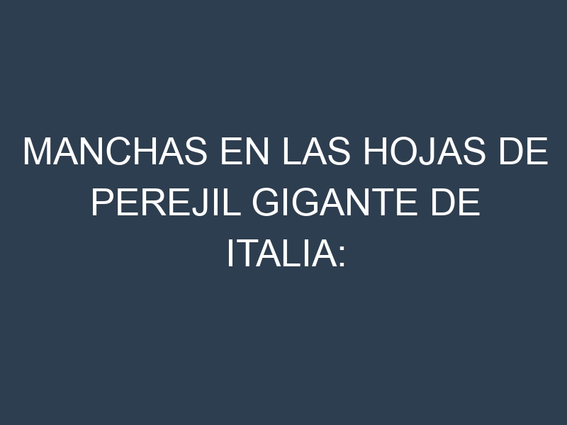 Manchas en las hojas de Perejil gigante de Italia: Identificación, Causas y Estrategias de Control Efectivo