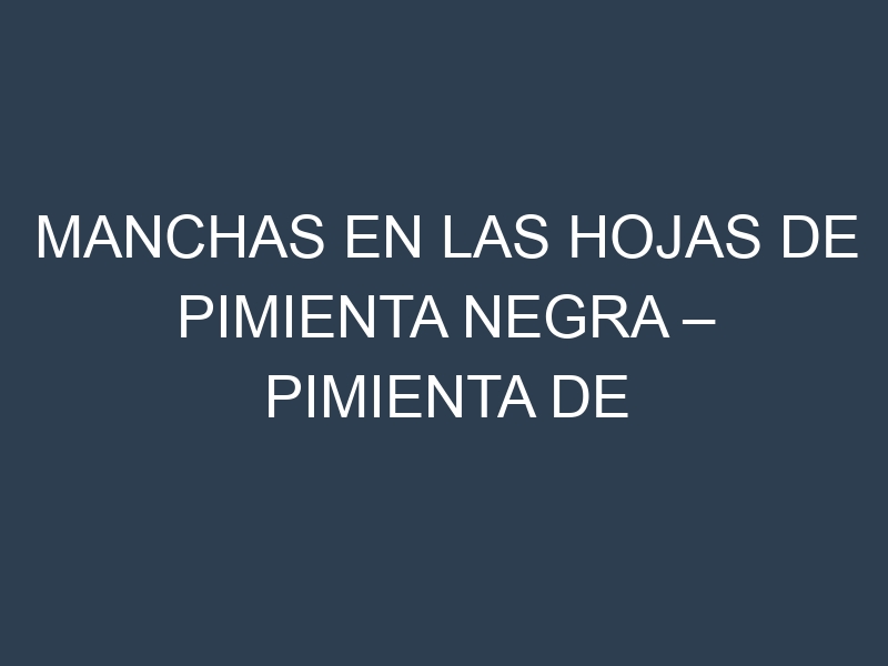 Manchas en las hojas de Pimienta negra – Pimienta de Tabasco: Identificación, Causas y Estrategias de Control Efectivo