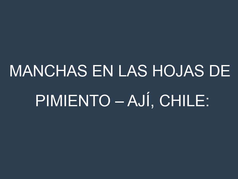 Manchas en las hojas de Pimiento – Ají, Chile: Identificación, Causas y Estrategias de Control Efectivo